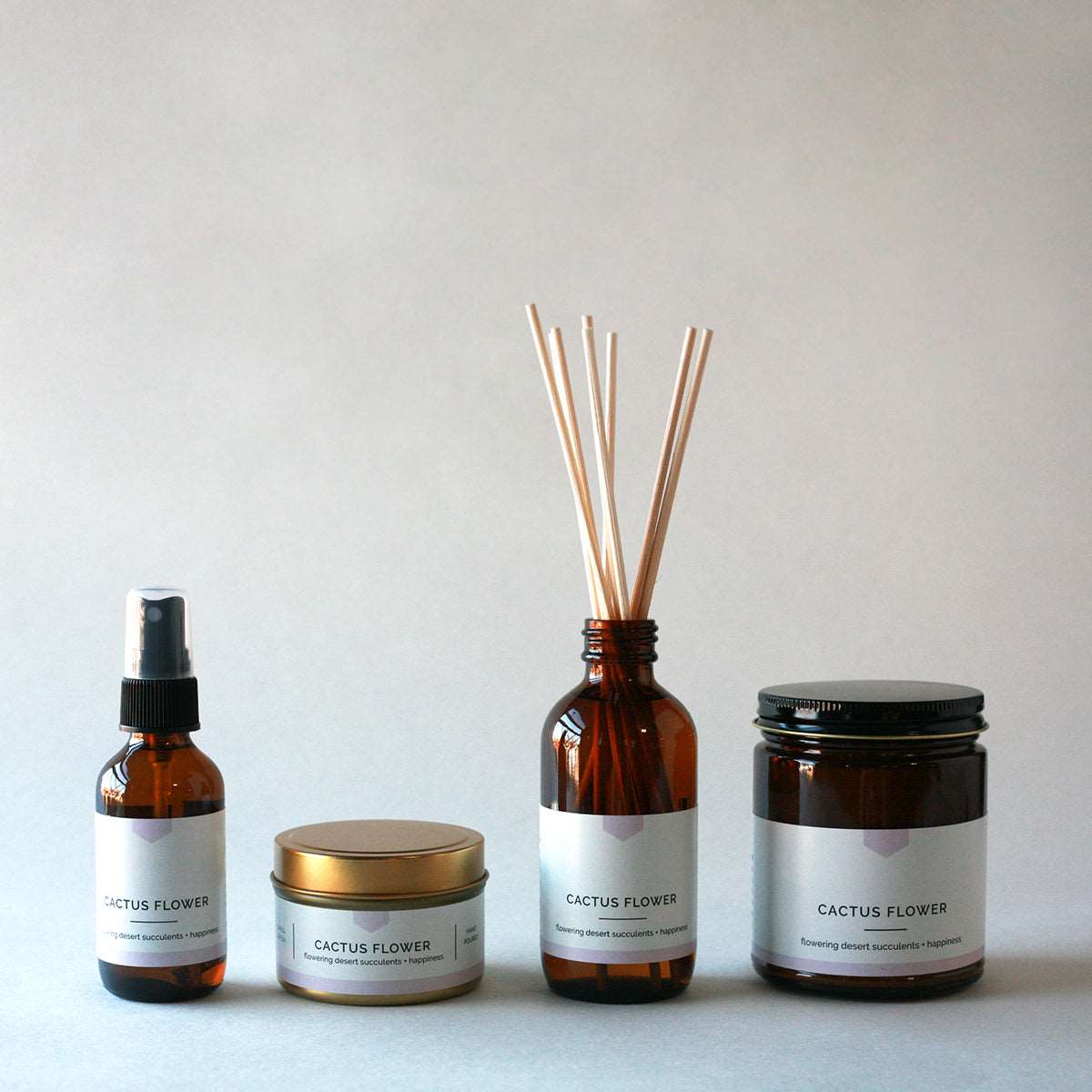 essential oils for succulents CACTUS FLOWER Reed Diffuser – Floral Desert Wildflowers, Hand-Poured (4 oz)