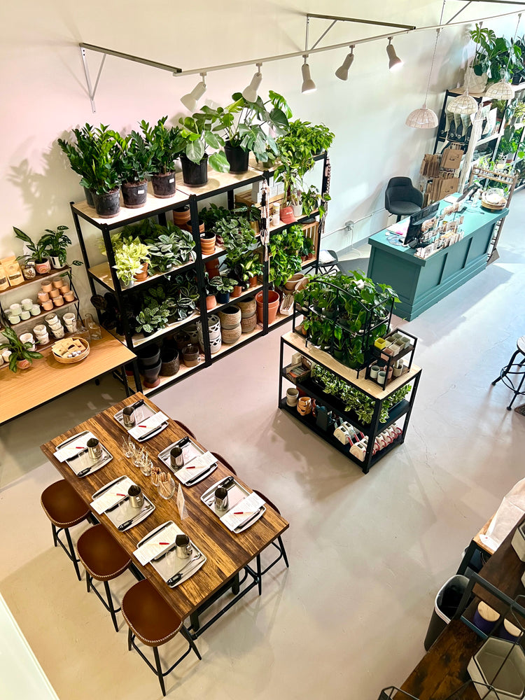 
                  
                    Custom Candle Pouring Workshop / Private Party | Vacant Wheel Candle Bar in Midtown OKC
                  
                